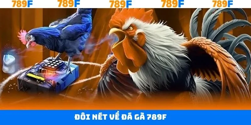 Khái quát về trường đá gà trực tuyến 789F