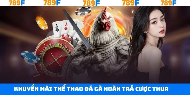 Thưởng thể thao đá gà hoàn cược thua lên tới 100%